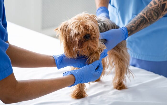 annual physical exam near me