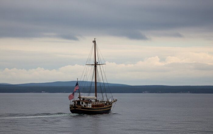 can you cancel short term health insurance at any time